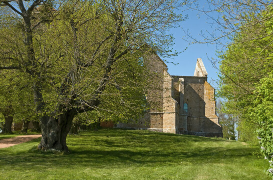 Coll&eacute;giale XIVe de Thil, 21, C&ocirc;te-d'Or, France