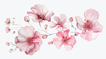 Watercolor pink flowers floral illustration for greet