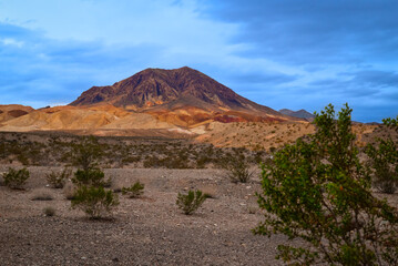a desert area with bushes and mountains at sunset in the background