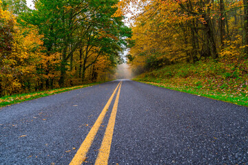 Obraz premium a road that leads to a hill with autumn foliage on both sides