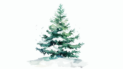 Watercolor tree spruce illustration. Watercolor winte
