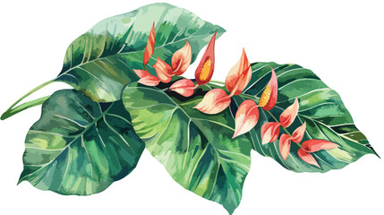 Watercolor tropical exotic liana leaf jungle plant. 