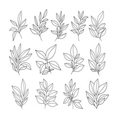 Set of branch and leaves vector