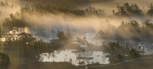 Scenic view of Rannametsa-Tolkuse nature trail in Luitemaa nature reserve of Ramsar wetland, Estonia