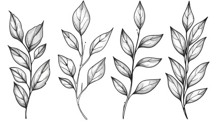 White leaves vector Four . Line art hand drawing foli