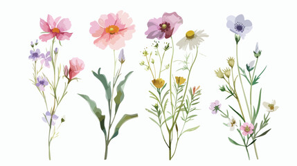 Wild flowers Four  watercolor hand painting digital 