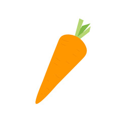 Carrot isolated on white background. Mini vegetable. Vector hand drawn illustration
