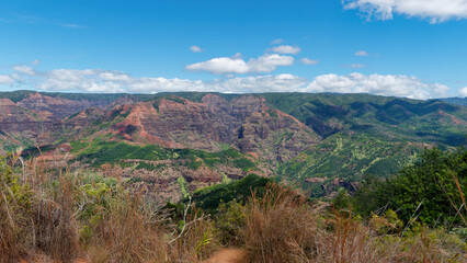 Obraz premium Waimea Canyon State Park, Island of Kauai, Hawaii, USA