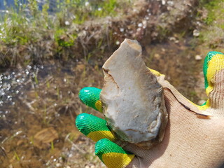 A fragment of ordinary gray flint in hand found on the shore of a pond