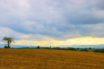 Fototapeta premium a field full of brown dirt next to a lone tree