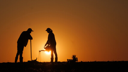 As the sun sets, a couple of farmers work in the field planting seedlings, with the man digging and...