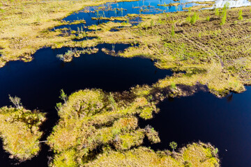 Aerial view of a picturesque peat bog with dark blue water