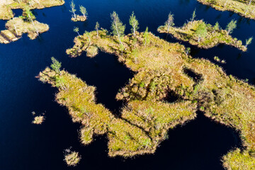 Islands overgrown with grass and young birch trees on a flooded peat bog, aerial view