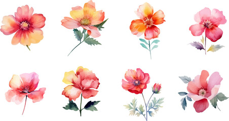 Set of beautiful floral elements for composition. Use for cloth, greeting card, invitation, wedding concept, arrangement, floral poster, woman cloth, fabric, floral bouquets. Vector eps illustrator. 