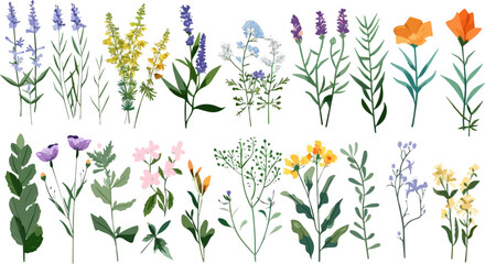 Set watercolor wildflowers. flower watercolor style for printing, weddings, decorating, flower shops, greeting, spring, bouquet, pattern, decoration and textile.	
