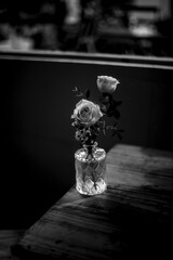 The gift of peace
The gift of happiness.
May all these and more be yours this Christmas.
