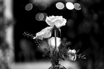 This Christmas, you’re the best gift I could ask for. Merry Christmas! May your happiness be large and your bills be small.
