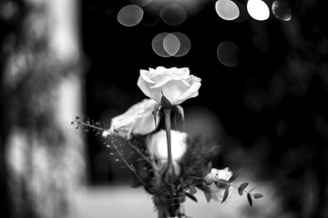 I know exactly what I want this year. Santa, can you hear me?