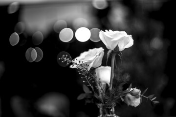 This Christmas, you’re the best gift I could ask for. Merry Christmas! May your happiness be large and your bills be small.
