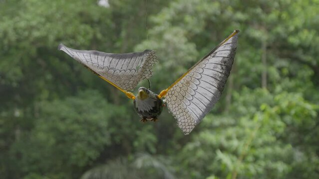 A toy bird with detailed wings spins on a string in the breeze against a lush, green forest backdrop. Perfect for themes of nature, playfulness, and outdoor decoration