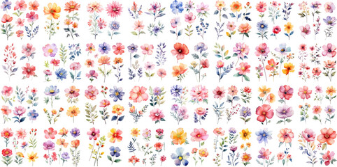 A Big watercolor floral package collection. Use by fabric, fashion, wedding invitation, template, poster, romance, greeting, spring, bouquet, pattern, decoration and textile. 