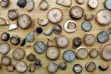 Wooden surface of kitchen table full of many cut round pieces of avocado seeds as background top...