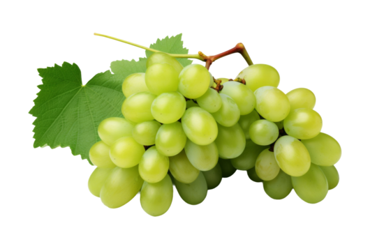 Dancing Green Grapes: A Playful Symphony of Nature on a Clear PNG or White Background.