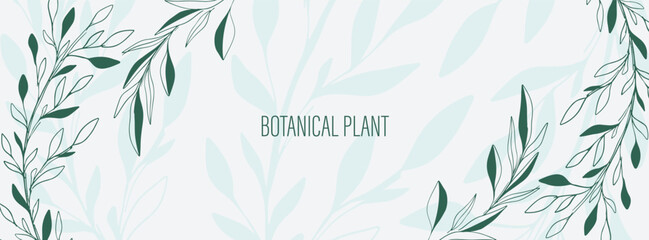Design banner plant nature hand drawn. Plant botanical element.Elegante vintage style.