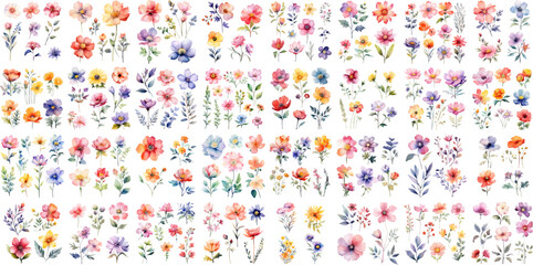 Set watercolor wildflowers elements collection. leaves and grass. Collection of botanic garden elements. wedding invitation, template, poster, romance, greeting, spring, bouquet, pattern, decoration.