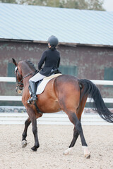 change of the rein. Equestrian sports, dressage. Shooting from the back. Vertical photo