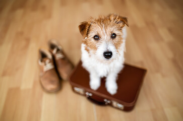 Cute dog puppy waiting with a suitcase and shoes. Pet hotel, travel, vacation or holiday banner.