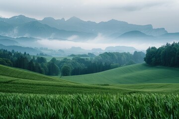 Fototapeta premium Mountain Landscape with Sky: A serene scene of misty mountains, green hills, and a vibrant sky at sunrise, showcasing the beauty of nature