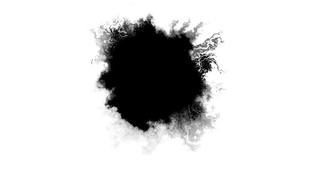 Abstract Ink splash spreads across the screen ink transition splatter blot spreading. ink splatter transition. ink brush stroke, fluid art black and white. Slide Show, Fade, Matte, Reveal splatter