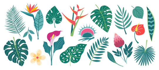 Set of exotic plants in simple flat design. Tropical leaves and flowers isolated on white background. Vector illustration.
