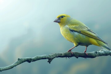 A yellow bird perched on a tree branch. Ideal for nature and wildlife concepts