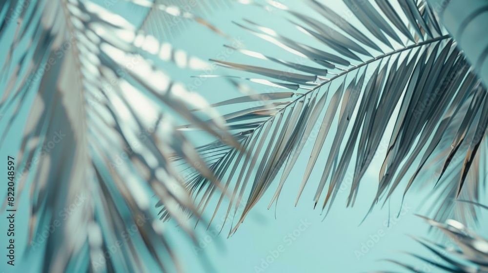 Aufkleber close up view of a palm tree with a vibrant blue sky in the background. ideal for travel and nature 