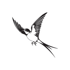 Obraz premium Black and white bird vintage ink drawing vector illustration for t-shirt design