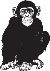 chimpanzee chimp vector transparent background