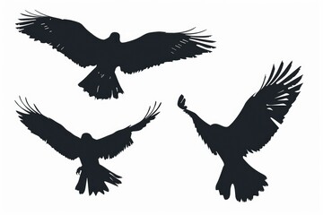 Obraz premium A collection of four bird silhouettes. Perfect for nature-themed designs