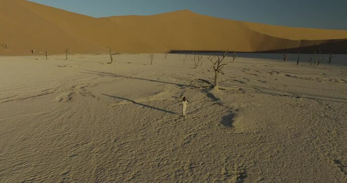 Aerial view of sand dunes and dead trees in Sossusvlei, Namibia.
