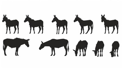 Fototapeta premium A group of horses standing next to each other. Suitable for various projects