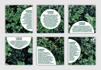 set of banners with space for text with eco-friendly natural photo with dark small bush leaves