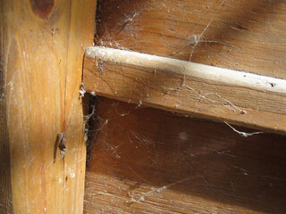 The weathered wooden wall of the barn is decorated with intricate spider webs.