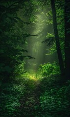 Obraz premium Abstract Forest Path With Ethereal Light,Photorealistic HD