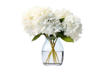Ethereal Blossoms in Crystal Elegance on a Clear PNG or White Background.