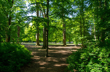 path in the park