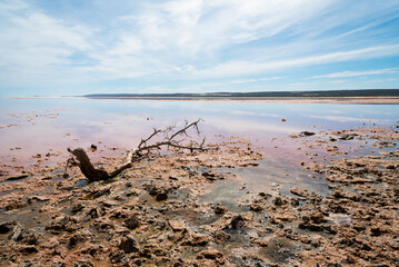 View of Pink Lake, a salt lake on the west coast of Australia