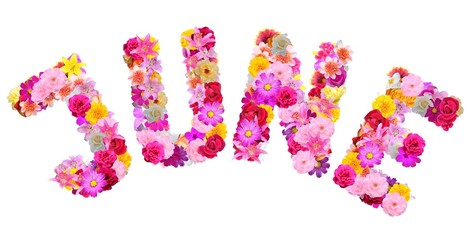 arched word "june" with various multicolored flowers
