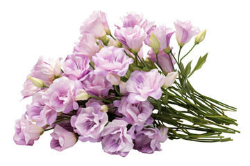 Ethereal Purple Petal Palace on a Clear PNG or White Background.