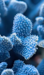 Obraz premium Blue Abstract Coral Patterns,Photorealistic HD